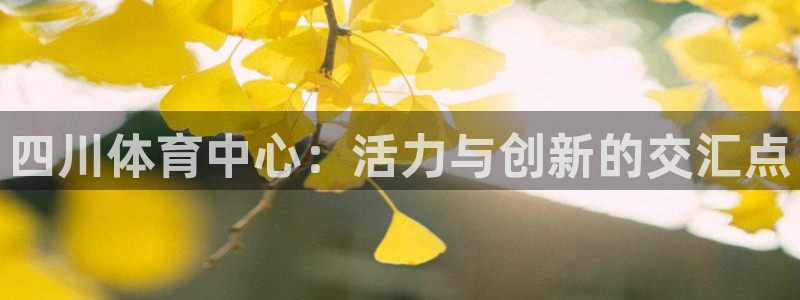 海南意昂体育4：四川体育中心：活力与创新的交汇点
