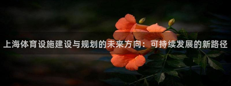 意昂4娱乐下载：上海体育设施建设与规划的未来方向：可