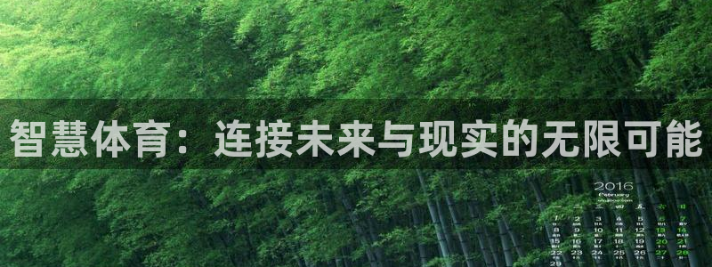 意昂体育4娱乐：智慧体育：连接未来与现实的无限可能